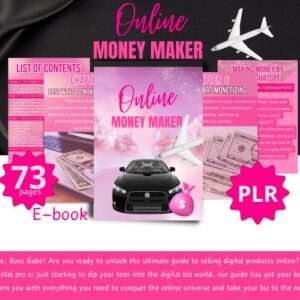 PLR Resell E-book, Money maker, business ebook,How to start business, make money online, business guide,private label rights,book for resell