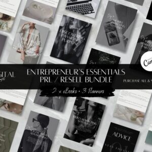 PLR Bundle Entrepreneur | Ready to sell | Resell Bundle | Private Label Rights | PLR eBook | Digital PLR Planner | Master Resell Rights