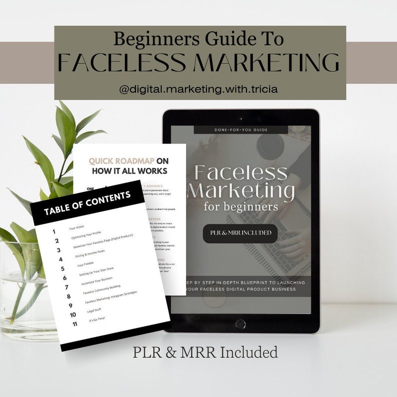 Faceless Digital Marketing Course for Beginners Done For You Master Resell Rights Private Label Rights Faceless Reels Marketing MRR PLR DFY