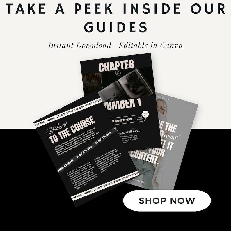 Faceless Digital Marketing All-in-One Course Bundle Guides | Master Resell Rights & PLR | Instant Access | Women's Empowerment | DFY Faceless Digital Marketing All-in-One Course Bundle Guides | Master Resell Rights & PLR | Instant Access | Women's Empowerment | DFY - Image 4