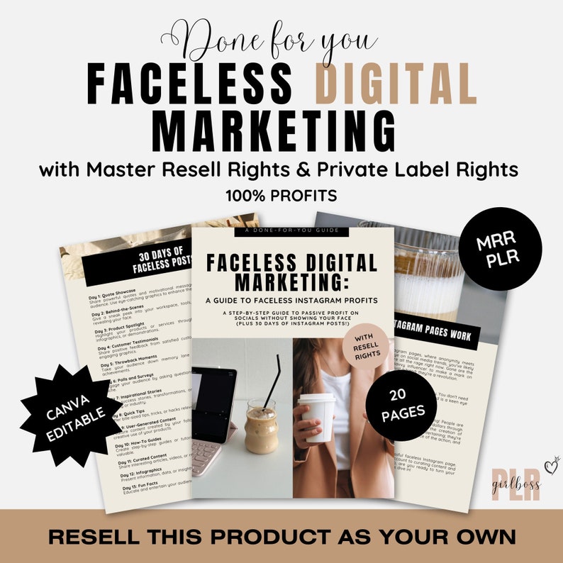 Faceless Digital Marketing Guide | Done for you with Master Resell Rights | PLR & MRR | Passive income | Bonus Reels Guide | DFY