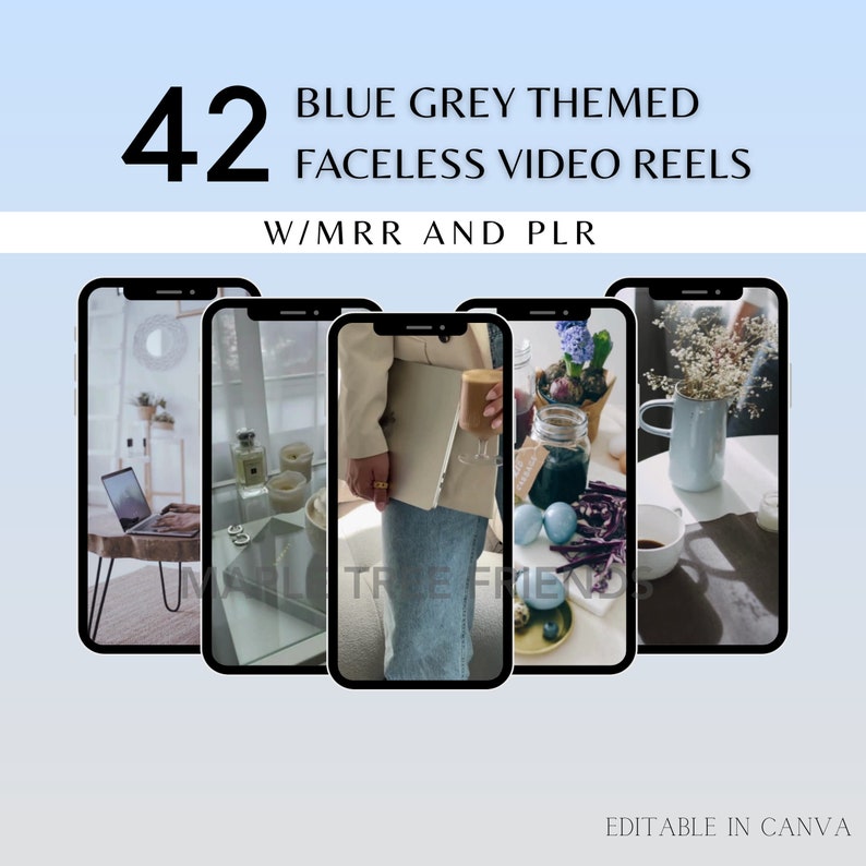 42 Blue Grey Faceless Reel Story Videos Master Resell Rights (MRR) and Private Label Rights (PLR) Digital Product