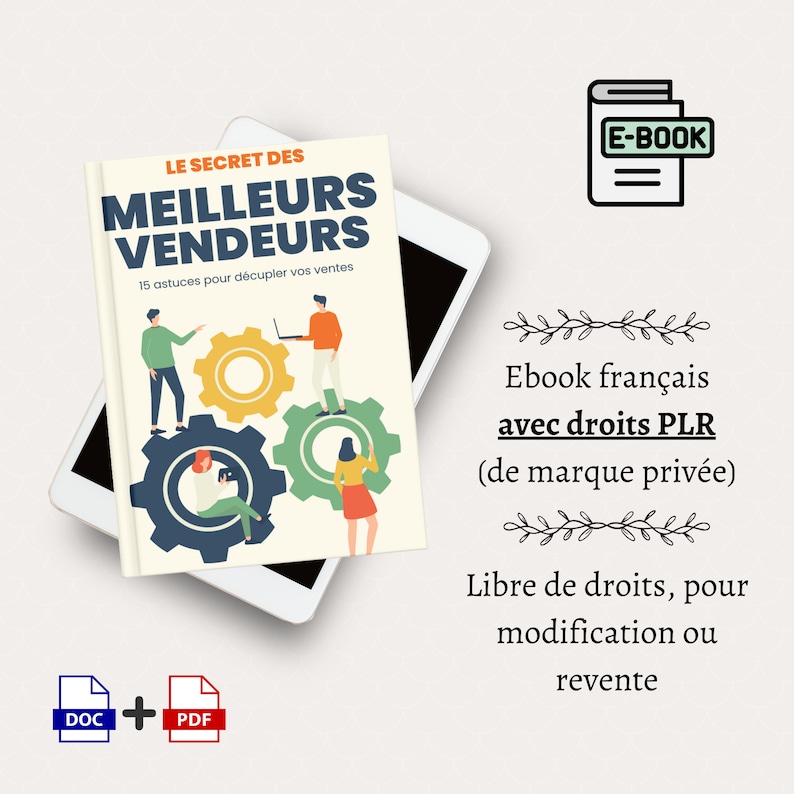 PLR Ebook in French - The secret of the best sellers - 16 pages - Private label rights - Money - Entrepreneurship - Investment