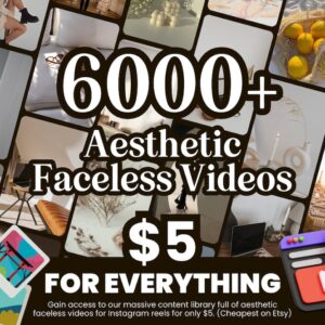 6000+ Aesthetic Video Reels Boss Babe Story Master Resell Rights MRR & Private Label Rights PLR DFY Instagram Templates Digital Marketer