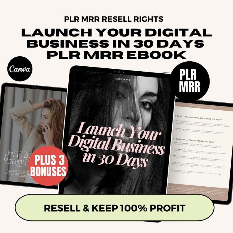 MRR PLR How To Sell Digital Products Private Label Right Master Resell Right Done For You Ebook To Resell, PLR Digital Product Lead Magnet