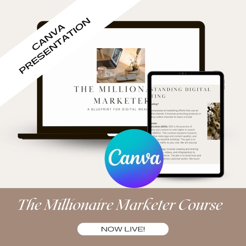 The Millionaire Marketer | Master Digital Marketing Course for beginners PLR MRR DFY, Social Media Marketing, Content Creation, Canva