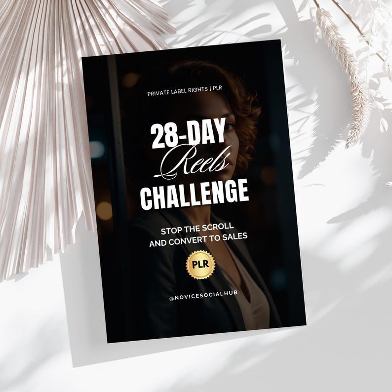 Digital Marketing Lead Magnet | PLR Ebook | Instagram Reels Guide | Done for You Lead Magnet | PLR MRR Digital Products | Mini Ebook Dfy