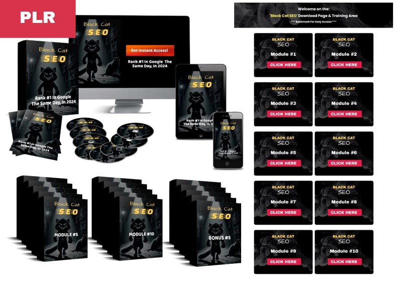 Black Cat SEO | SEO Secrets Unraveled | Black Hat SEO For Beginners | With This System, You Can Become A 'Free Traffic Guru'! License plr Black Cat SEO | SEO Secrets Unraveled | Black Hat SEO For Beginners | With This System, You Can Become A 'Free Traffic Guru'! License plr - Image 4