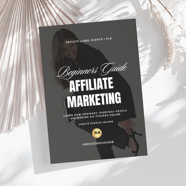 PLR ebook | Affiliate Marketing Guide | Digital Marketing | DFY Lead Magnet Template | Private Label Rights | PLR Digital Product | Mrr