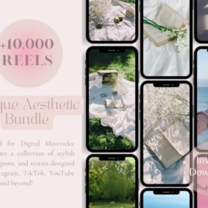 10,000+ Faceless Reels Bundle, Videos, Faceless Marketing, Faceless Reels, Faceless Video, Aesthetic Reels, Digital Marketing, MRR/PLR Canva