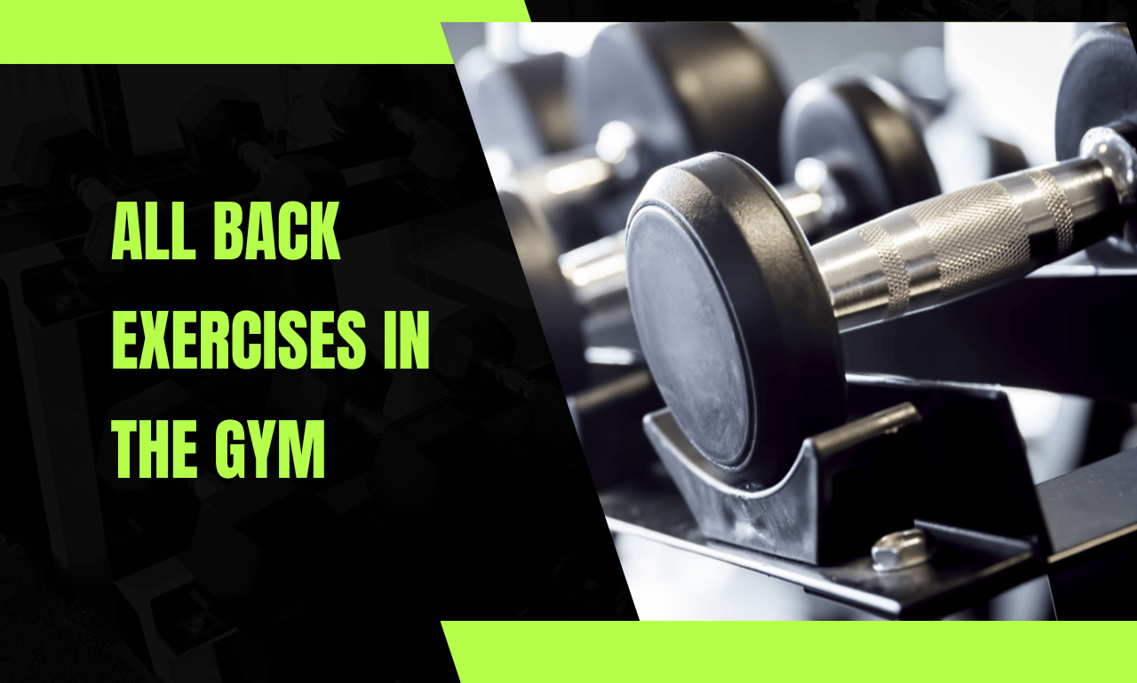 All Back Exercises in the Gym